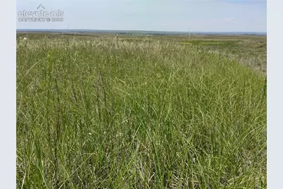 29455 Tallgrass View, Calhan, CO 80808 - Photo 15