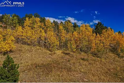 230 Penrose Circle, Cripple Creek, CO 80813 - Photo 21