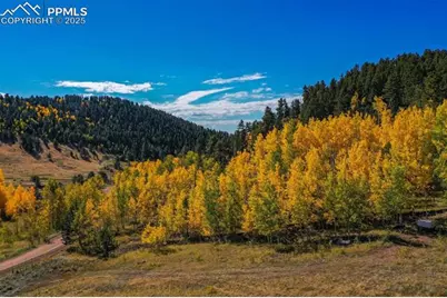 230 Penrose Circle, Cripple Creek, CO 80813 - Photo 19