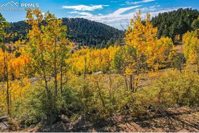 230 Penrose Circle, Cripple Creek, CO 80813 - Photo 25