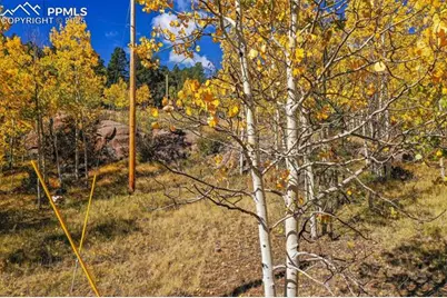 230 Penrose Circle, Cripple Creek, CO 80813 - Photo 49