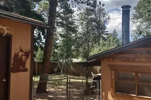 402 N Maple St, Woodland Park, CO 80863 - Photo 27