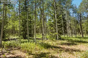1 Como St, Como, CO 80432 - Photo 33