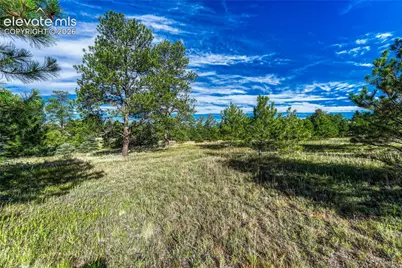 3429 Blue Heron Spring Lane, Colorado Springs, CO 80908 - Photo 17