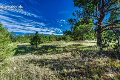 3429 Blue Heron Spring Lane, Colorado Springs, CO 80908 - Photo 7