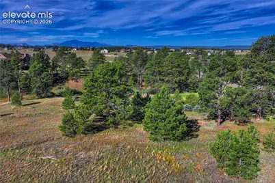 3429 Blue Heron Spring Lane, Colorado Springs, CO 80908 - Photo 27