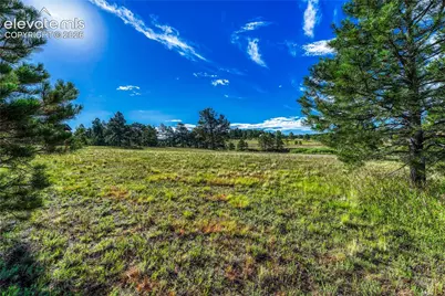 3429 Blue Heron Spring Lane, Colorado Springs, CO 80908 - Photo 15