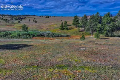 3429 Blue Heron Spring Lane, Colorado Springs, CO 80908 - Photo 23