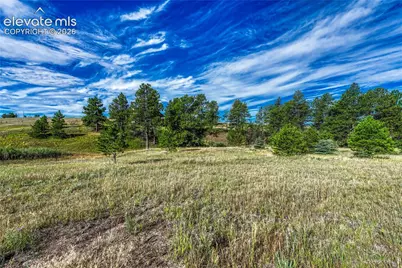 3429 Blue Heron Spring Lane, Colorado Springs, CO 80908 - Photo 19