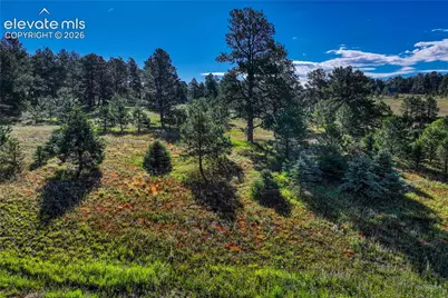 3429 Blue Heron Spring Lane, Colorado Springs, CO 80908 - Photo 5