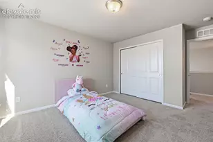 11461 Wigeon Wy, Colorado Springs, CO 80925 - Photo 27