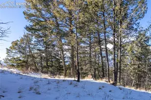 730 Cheyenne Creek Dr, Lake George, CO 80827 - Photo 29