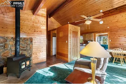 730 Cheyenne Creek Drive, Lake George, CO 80827 - Photo 7