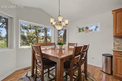 1670 Hard Rock Point, Colorado Springs, CO 80919 - Photo 13