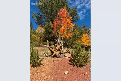 1052 Crown Point Circle, Cripple Creek, CO 80813 - Photo 43