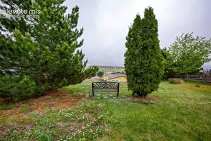 7647 Whiptail Point, Colorado Springs, CO 80922 - Photo 41
