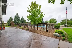 7647 Whiptail Point, Colorado Springs, CO 80922 - Photo 45