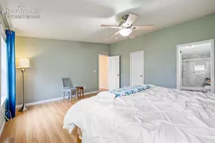 7647 Whiptail Point, Colorado Springs, CO 80922 - Photo 21