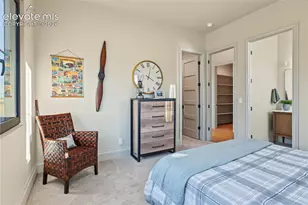 10593 Alamar Wy, Colorado Springs, CO 80908 - Photo 43