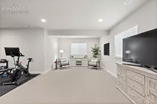 10253 Noguchi Wy, Colorado Springs, CO 80924 - Photo 37