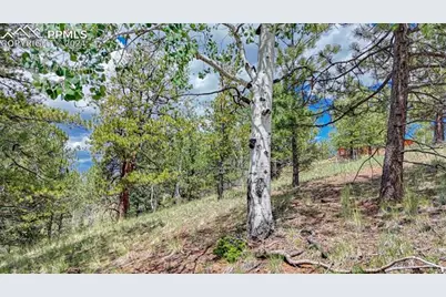 24 Wild Horse Circle, Cripple Creek, CO 80813 - Photo 13