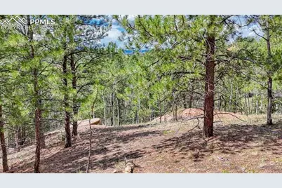 24 Wild Horse Circle, Cripple Creek, CO 80813 - Photo 17