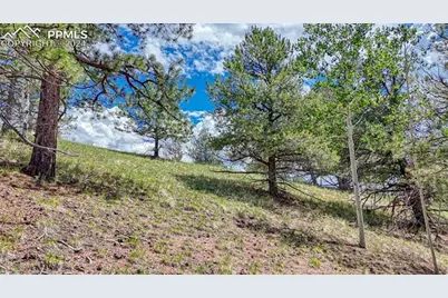 24 Wild Horse Circle, Cripple Creek, CO 80813 - Photo 27