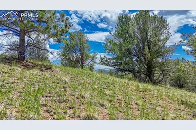 24 Wild Horse Circle, Cripple Creek, CO 80813 - Photo 21
