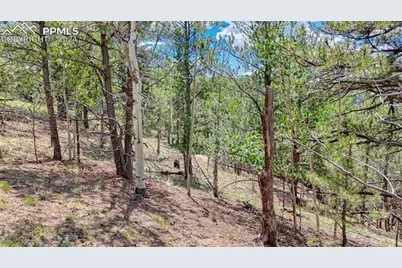 24 Wild Horse Circle, Cripple Creek, CO 80813 - Photo 23