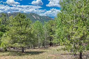 24 Wild Horse Cir, Cripple Creek, CO 80813 - Photo 1