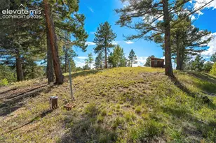 176 Chalk Circle Trail, Florissant, CO 80816 - Photo 43