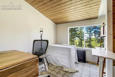 176 Chalk Circle Trail, Florissant, CO 80816 - Photo 23