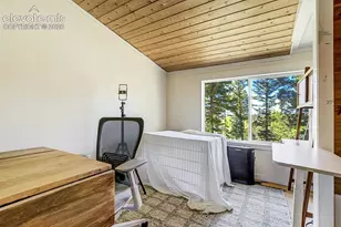 176 Chalk Circle Trail, Florissant, CO 80816 - Photo 23