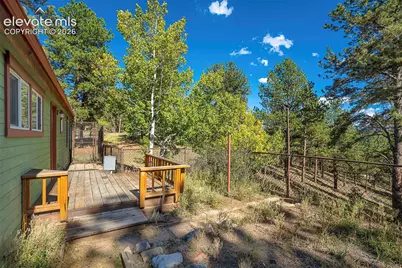 176 Chalk Circle Trail, Florissant, CO 80816 - Photo 31