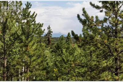2644 Pathfinder Road, Florissant, CO 80816 - Photo 11