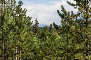 2644 Pathfinder Rd, Florissant, CO 80816 - Photo 11