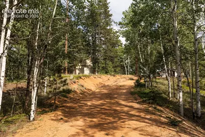2644 Pathfinder Road, Florissant, CO 80816 - Photo 9