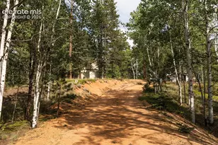 2644 Pathfinder Rd, Florissant, CO 80816 - Photo 9