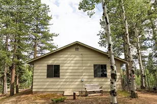 2644 Pathfinder Rd, Florissant, CO 80816 - Photo 1