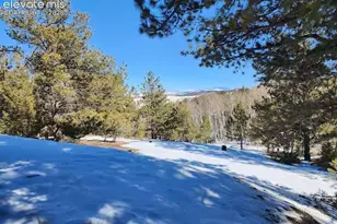 1173 Bellows Rd, Hartsel, CO 80449 - Photo 17