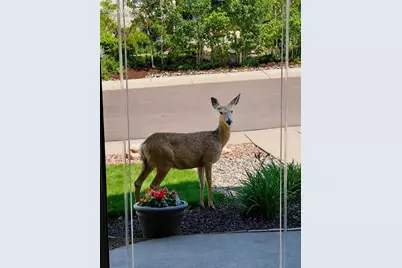 773 Sally Hill Court, Monument, CO 80132 - Photo 45