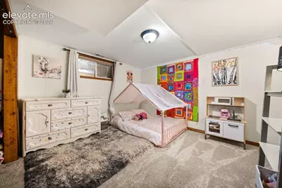 1933 County Road 782, Woodland Park, CO 80863 - Photo 23