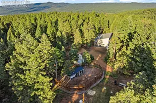 1933 Co Rd 782, Woodland Park, CO 80863 - Photo 41
