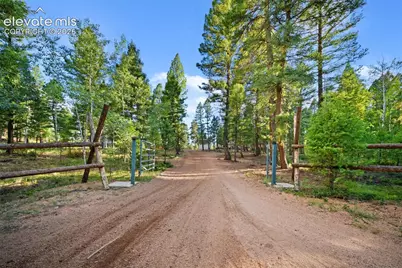 1933 County Road 782, Woodland Park, CO 80863 - Photo 39