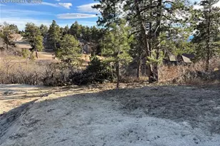 19942 Chisholm Trail, Monument, CO 80132 - Photo 15