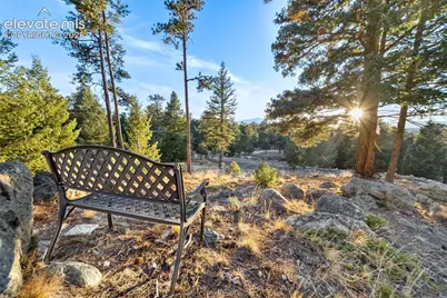 4450 Walker Ridge View, Colorado Springs, CO 80908 - Photo 7