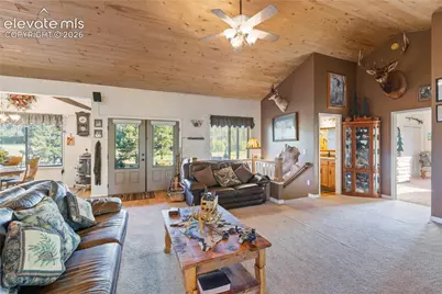 3133 Homestake Place, Lake George, CO 80827 - Photo 9