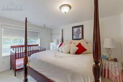 3133 Homestake Place, Lake George, CO 80827 - Photo 21