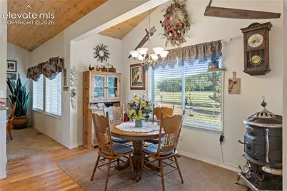 3133 Homestake Place, Lake George, CO 80827 - Photo 11
