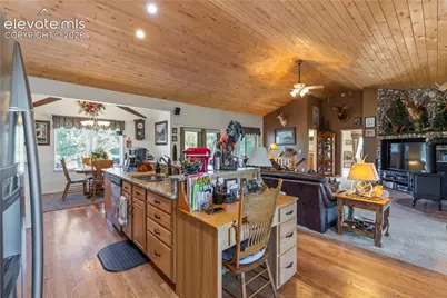 3133 Homestake Place, Lake George, CO 80827 - Photo 5